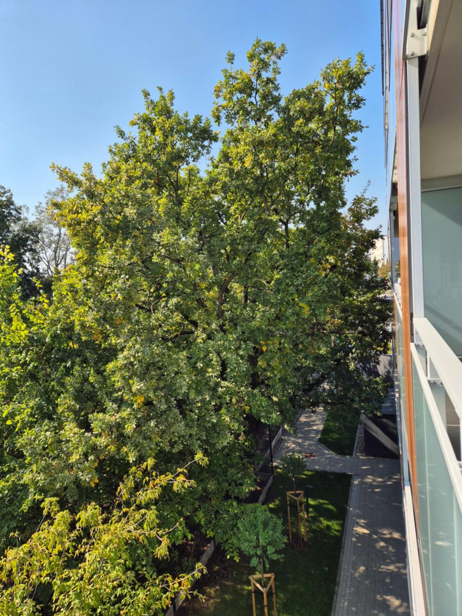 Great Apart Imielin 2 Warschau Exterior foto